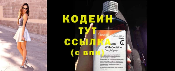 мдпв Няндома