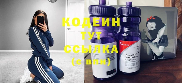 мдпв Няндома